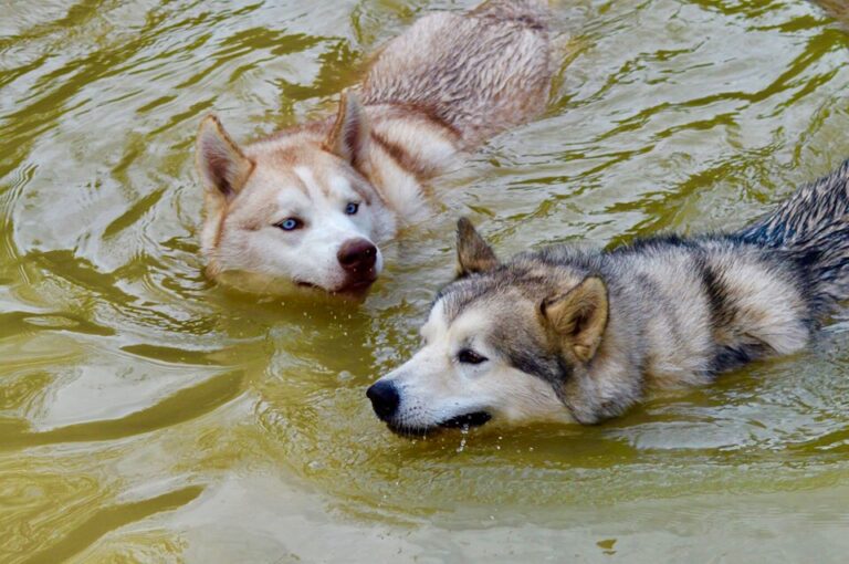 1264 f78224d0c38cf34149a18f664a1177c1 1 768x510