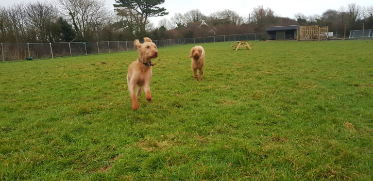 1278 06f6631ad96498cd85994ed3addadd13 1 768x373