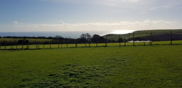 1278 1b87d2e2d149bb02d33b24005b2540b8 1 768x373