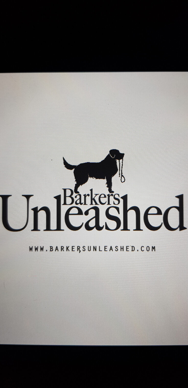 1278 374085a9e02e332f24cea058596a4593 1 768x1580