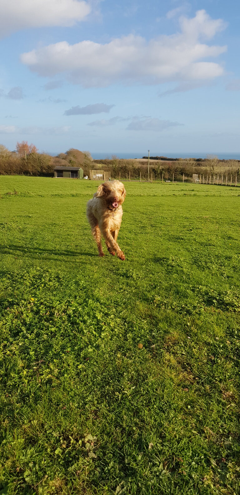 1278 b13868129b514b724da200efd23d3bd8 1 768x1580