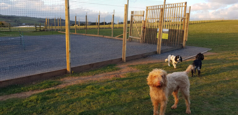 1278 ba0da047c222c8ac5bcb30080a360c8d 1 768x373