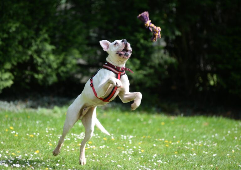 1284 bc3676b46aee8503b8972b9ded308bde 1 768x544