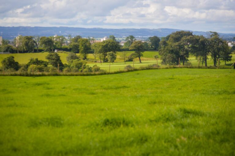 1285 34dd04c77f98b8a020e9df678359762e 1 768x511