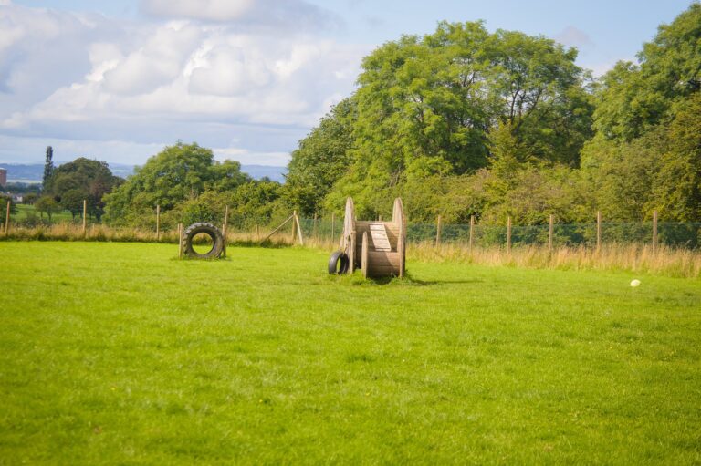 1285 5be31577463f71d02146d08c3a22d9f2 1 768x511