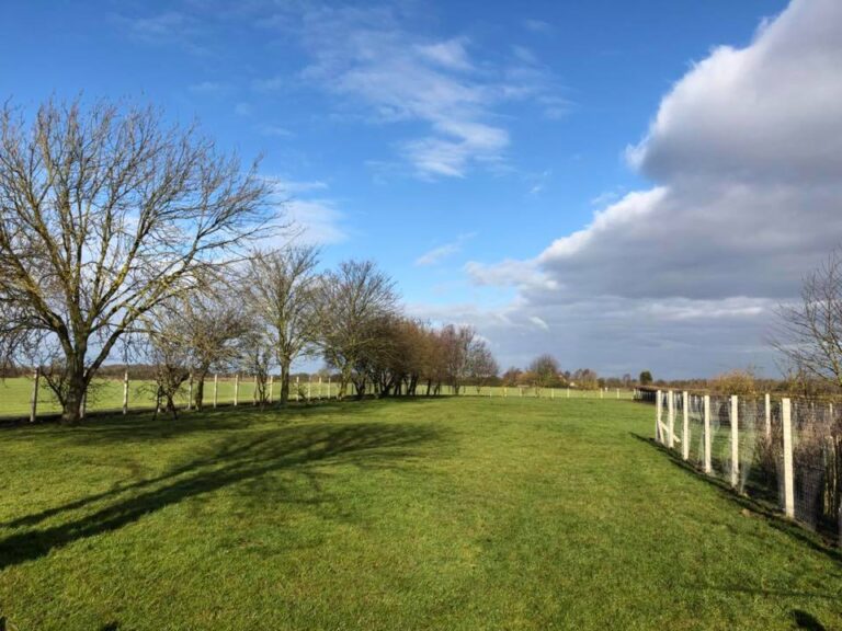 1291 bc037e2f5bcaf59e475575733b03057c 1 768x576