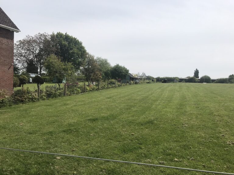 1292 8d3bad0e817f0c1f4e9a4da6f8b18c4b 1 768x576