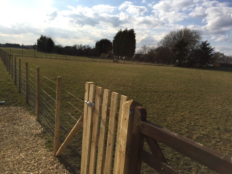 1295 996c0990685ba856effcbad129b16cda 1 768x576