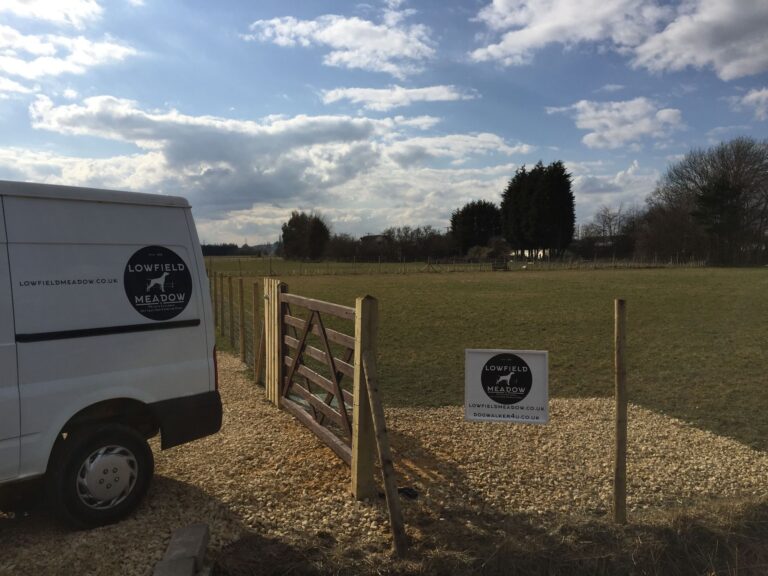 1295 bd09bea2e1a5960a9e6f95c7cc301aa9 1 768x576