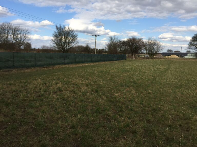 1295 c7400450057b5c84ff97d5eb0119b0dd 1 768x576