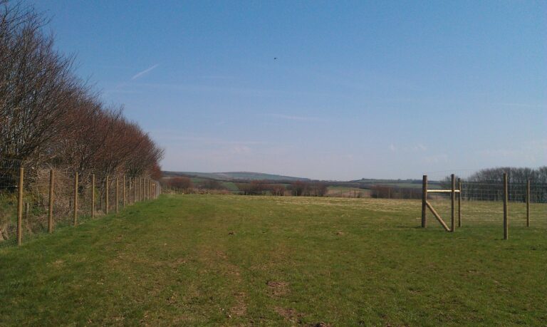 1302 bfb5140493ef460dcb728a11e78cad89 1 768x459