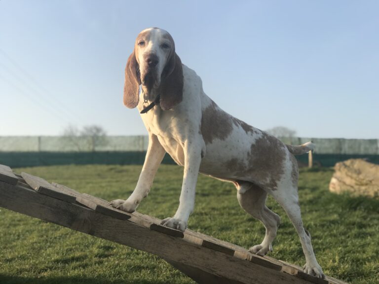 1306 420e8514f684094e7ae1e8aa655b03c8 1 768x576