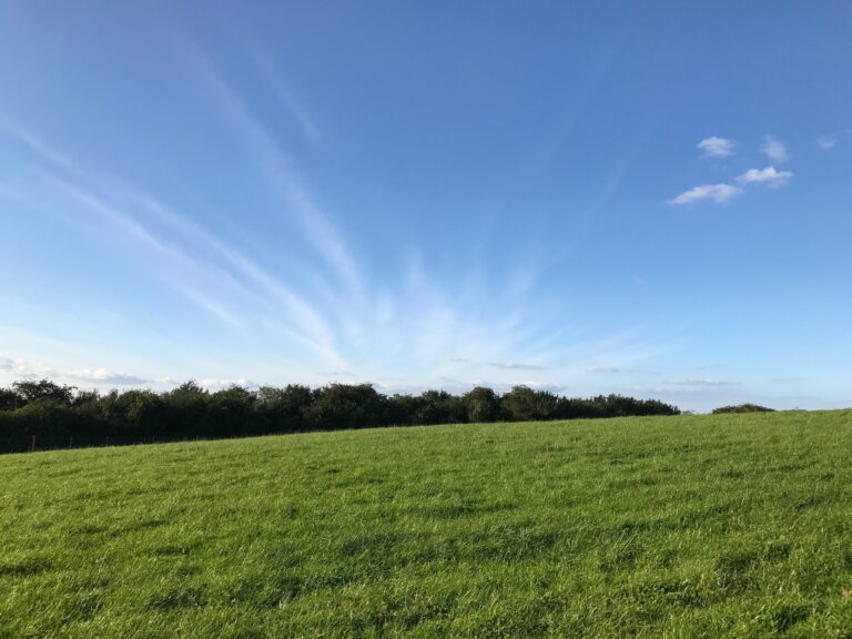 1306 7f08925c6948c2d310cb5b959c857d7e 1 768x576