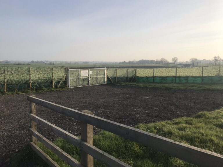 1306 b8dbb52619f010988226c6649d667929 1 768x576