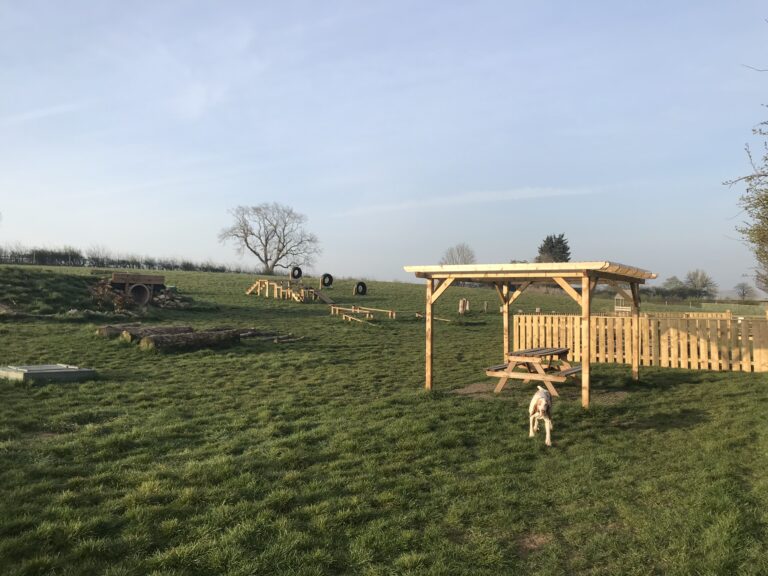 1306 caaec32c9e213a10b5bbfb02971c94b4 1 768x576