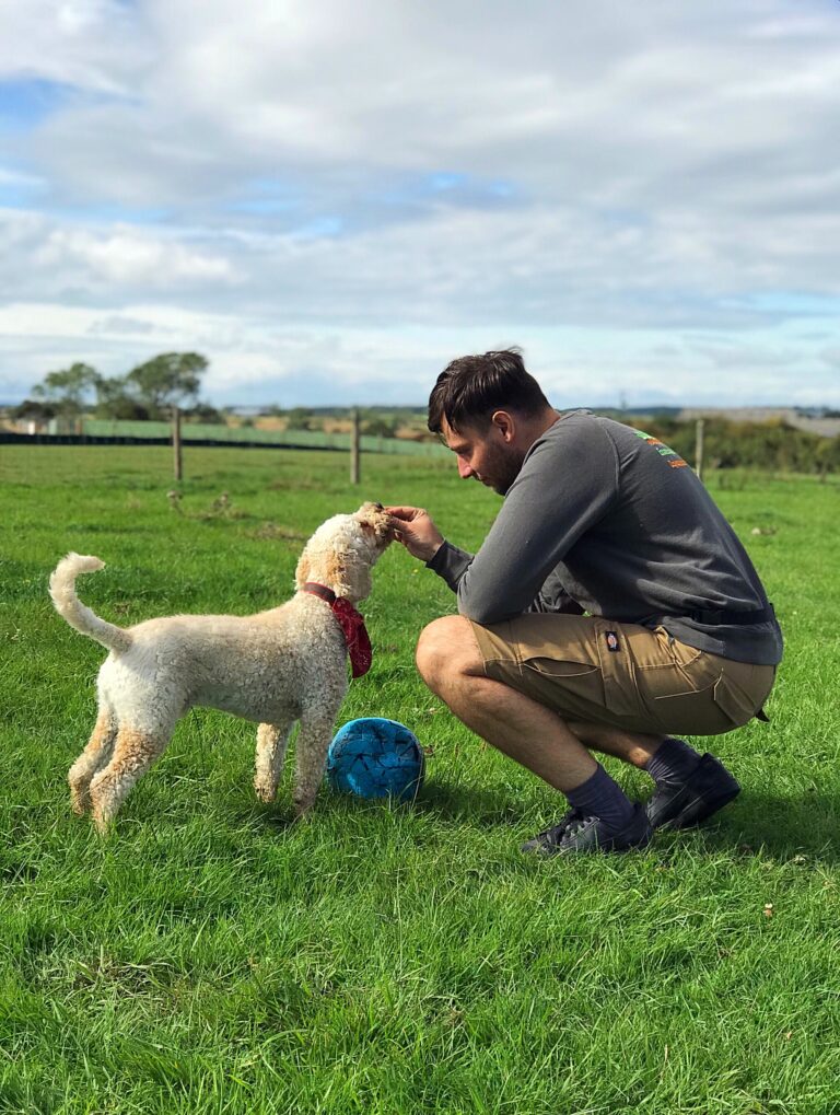 1306 d02eb169058d4789d86a125a45fad832 1 768x1019