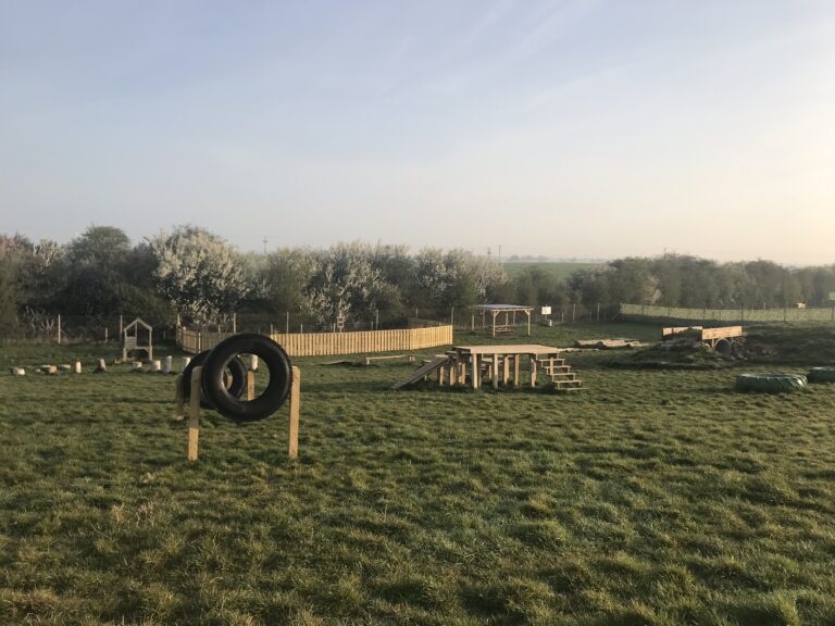 1306 dc1baef3963a808c68a630c47ab9787f 1 768x576