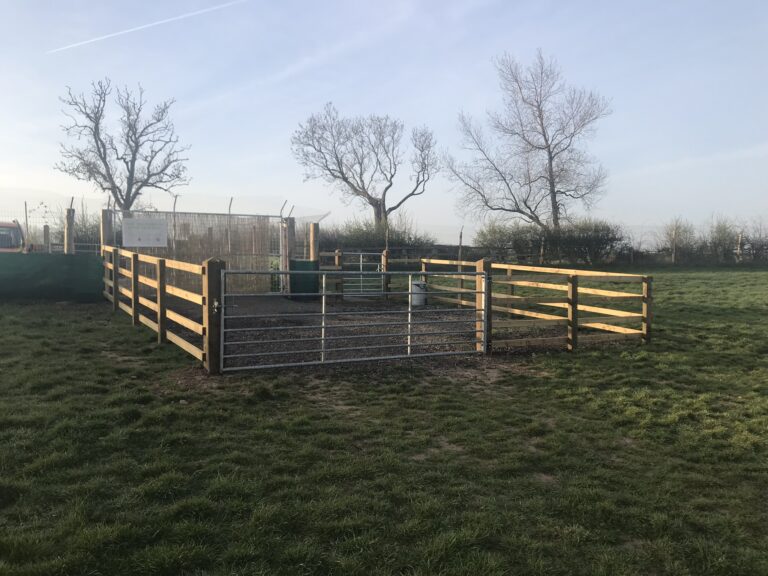 1306 e041fe2ce8fa25efcd82163ada74ddb7 1 768x576