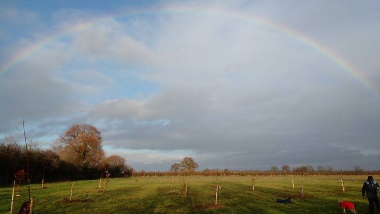 1307 1158a0c7b1913d2ff656cab8ed53b446 1 768x432