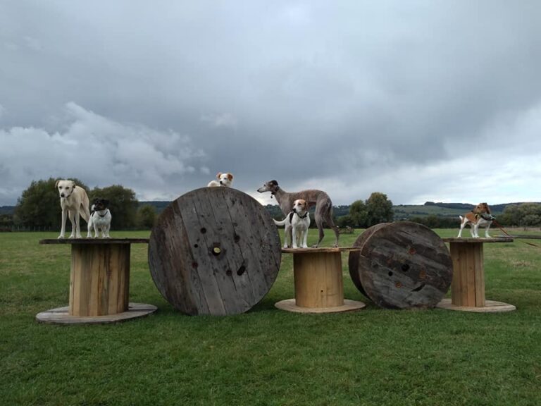 1307 7b64bef7ea6557a829c01743f72d2715 1 768x576