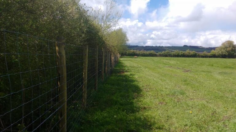 1307 a4ff1d924196a5d77ce5fce6e10ff571 1 768x432