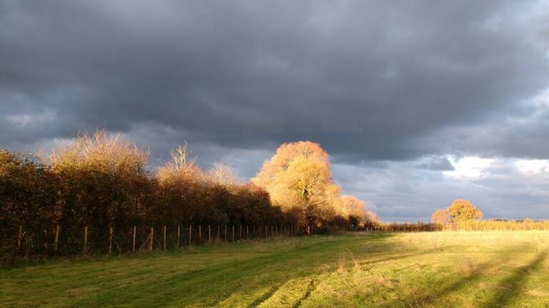 1307 c4d7731952bab51c3990a16eb25d90f0 1 768x432