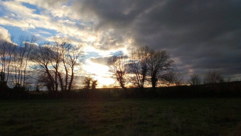 1307 d3f6407691aa71237074f0dcf9ac4f40 1 768x432