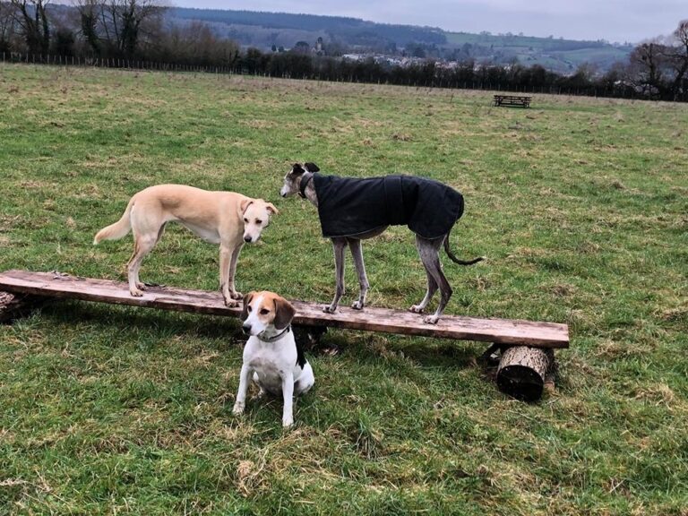 1307 eab4096fb0bb79ff34e1a93c05e9f270 1 768x576