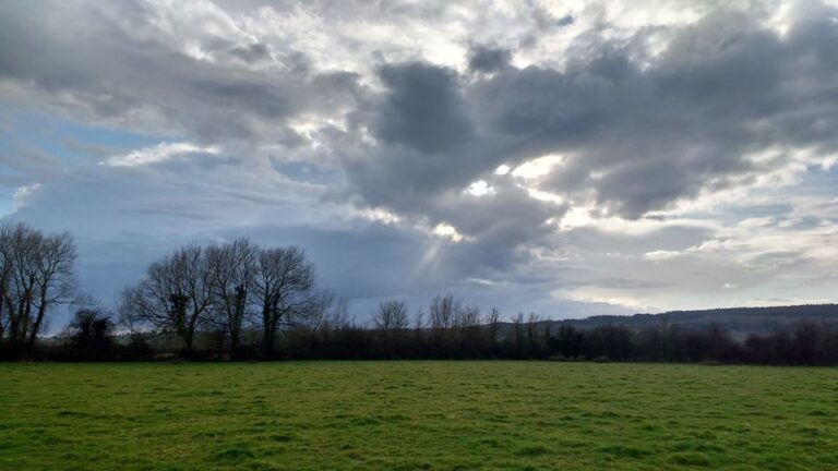 1307 fe3cb6e6dcc23a1d03106ffbf17417b7 1 768x432