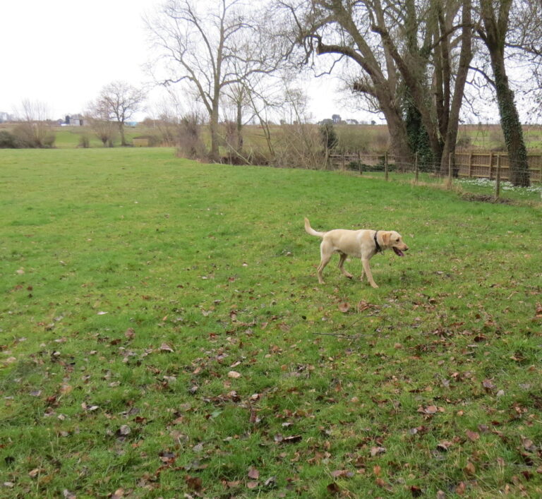 1312 278e02f57c8e623c1556628ad5e35e43 1 768x707