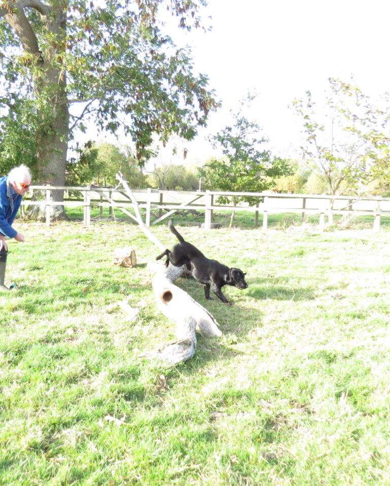 1312 f647e101431867d5ba433d4e8724adf0 1 768x956