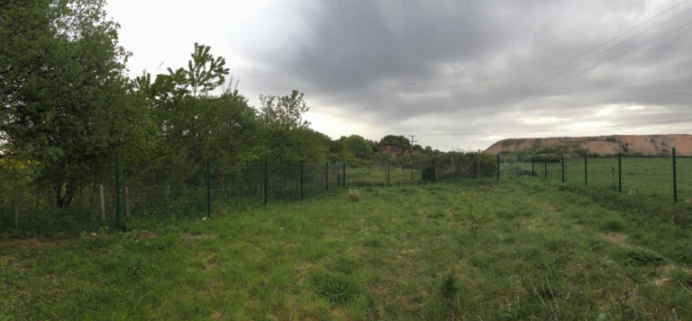 1331 dd265c20dca65fb019d1ec575f1be1b0 1 768x357