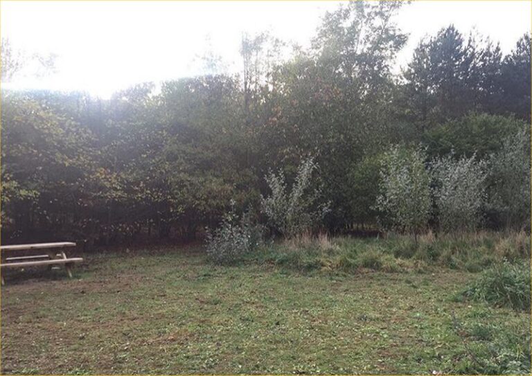 1351 40547928c2b988ddcd67a8f38bc93f56 1 768x543