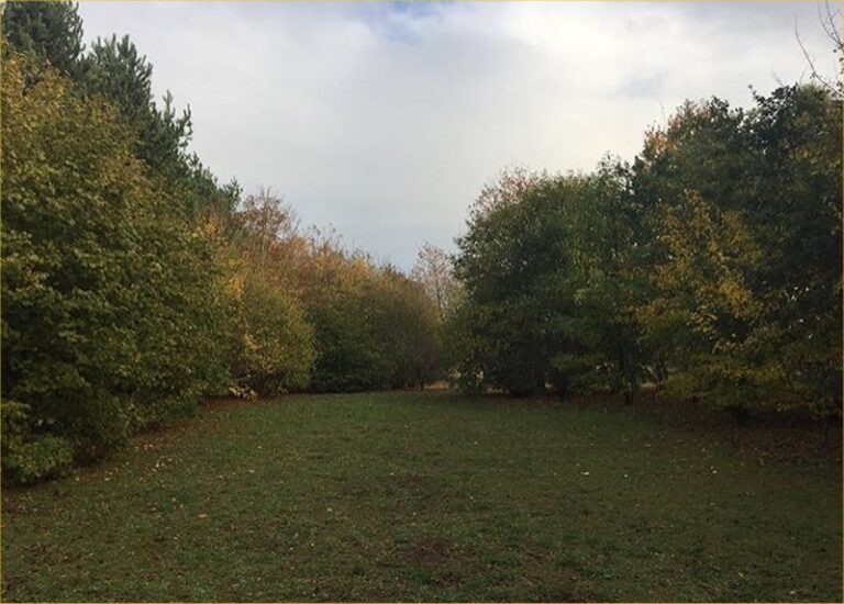 1351 7efb91dd89d3a66bb5ff42b94c92ec99 1 768x550