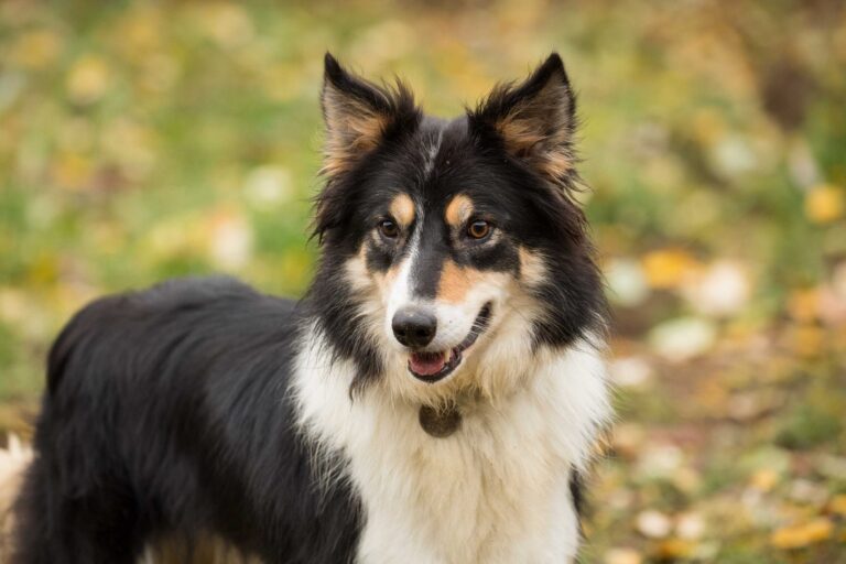 1351 e83e92c52563f9027cc307d6737eb669 1 768x512