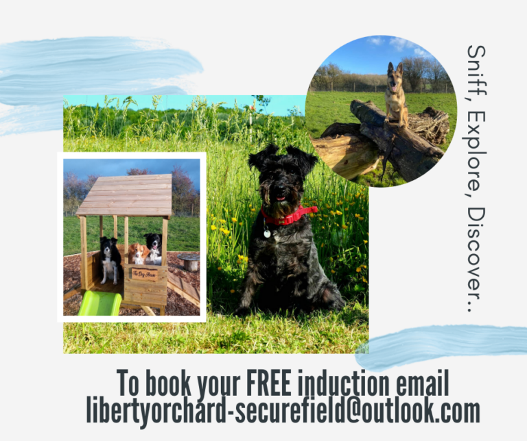 1364 42e7b5008628fb8660d79939aff7c9cc 1 768x644