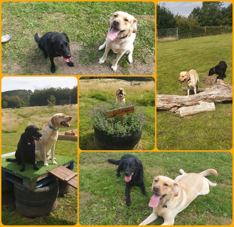 1364 d0fba554e0f5b2b1623624295e9d6fc9 1 768x746