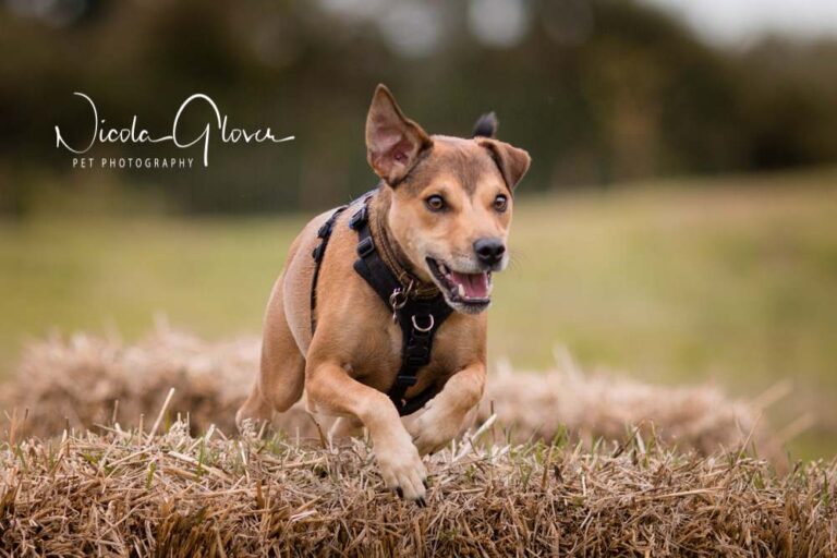 1364 eefb0aecf54467f4eb6265c314aa487d 1 768x512