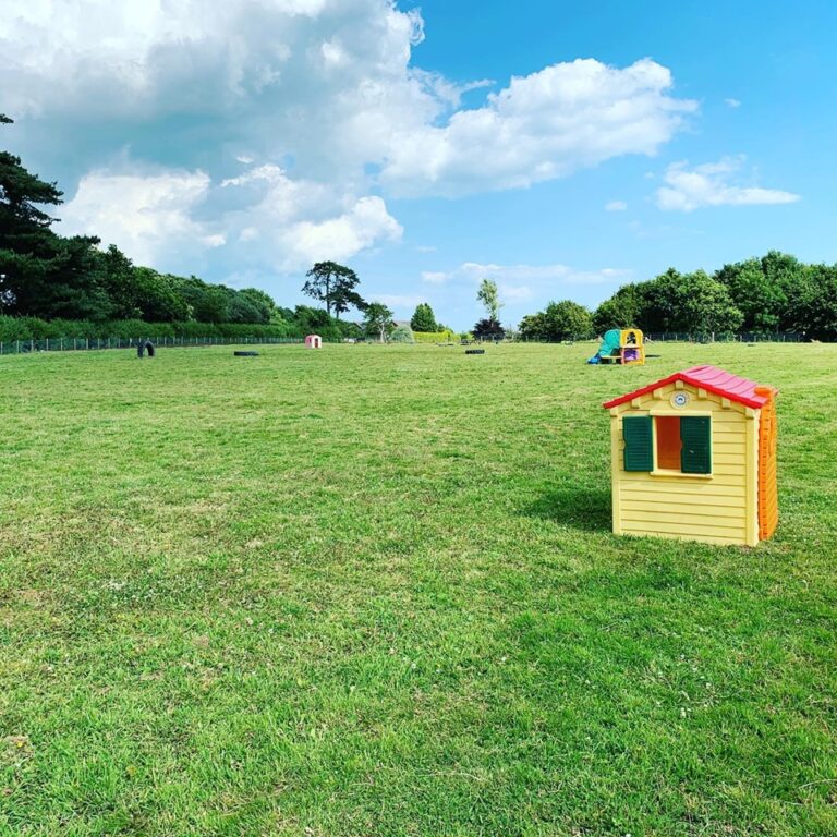 1379 0b6a32b0bafc4cfb63dd7cbeba637eaa 1 768x768