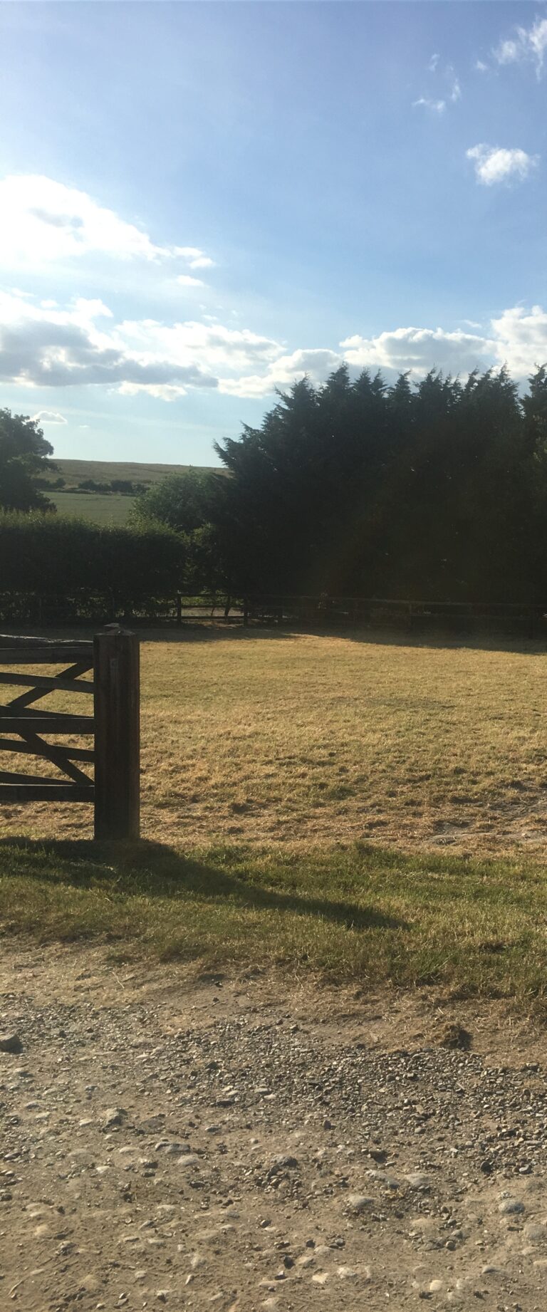 1384 ec0962353311150f1b8c6c3b6832e417 1 768x1842