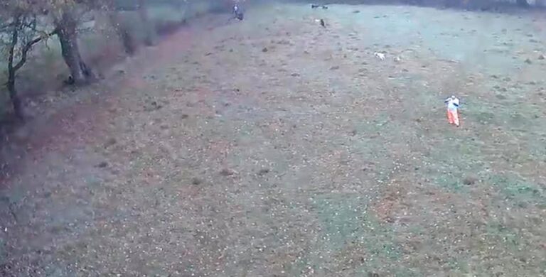 1400 20bb9d42b37601776afd348597ab5352 1 768x390