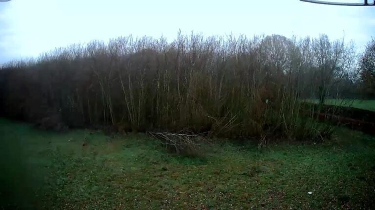 1400 47520b9fd3cce2ba68af8b16327eb2d9 1 768x432