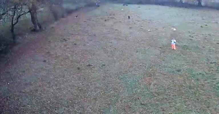 1400 8de97a3c7a2bd193c9f38153b82f3a36 1 768x400