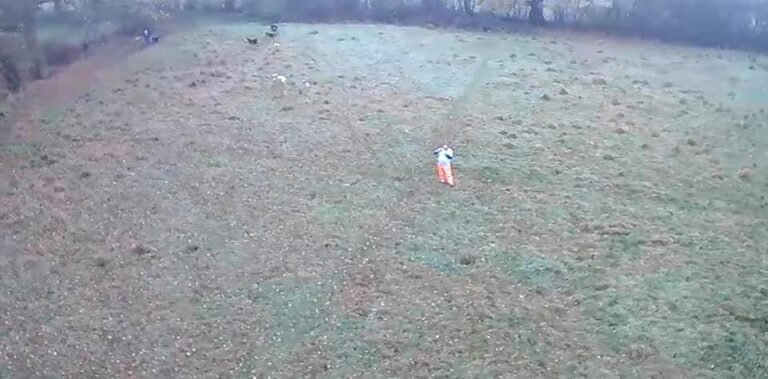 1400 961613283a5838bfdbf3cb28eaabca8f 1 768x379