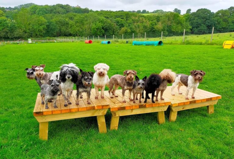 1404 efaeae3e8335e9db06446174a376e2f1 1 768x521