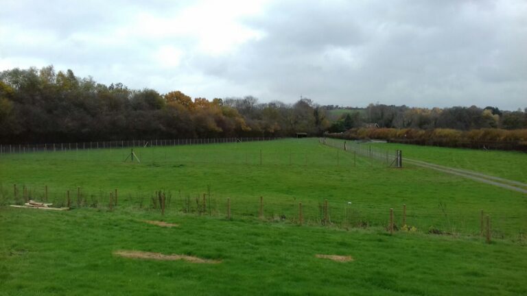 1406 3ade53041fbef5b52a28a9668dffe342 1 768x432