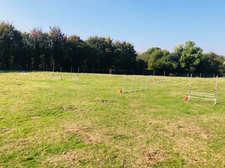 1409 2f6790cc18faef95dad5ec253f1ac658 1 768x576