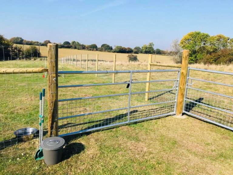 1409 8a666e13a79607c9a3ba6ea83b496b43 1 768x576