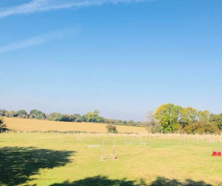 1409 ec30475db7624cac18f3b33719cbe642 1 768x645