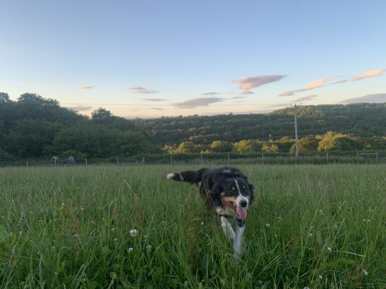 1420 bf84045b60f6b806808ba35cade7f9ce 1 768x576